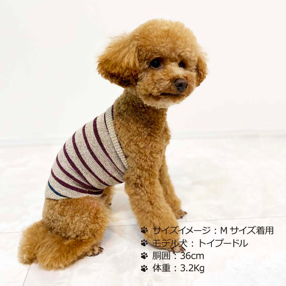 シルクメランジ ワンちゃん(超/小型犬)用 ロングタイプ腹巻き