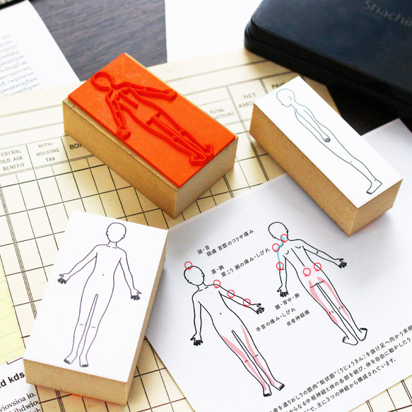 人体図 スタンプ 全身図 前 後 横 向き セット (#85) 健康管理 カルテ 勉強 マッサージ 人体スタンプ ゴム印 1枚目の画像