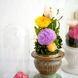 「仏花」パープルポンポン菊のプリザーブドフラワーのガラスドーム＜受注制作＞お供え花 3枚目の画像