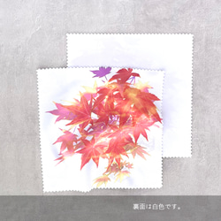 -紅葉- 花と草木のクリーニングクロス・メガネ拭き（15cm×15cm） 4枚目の画像