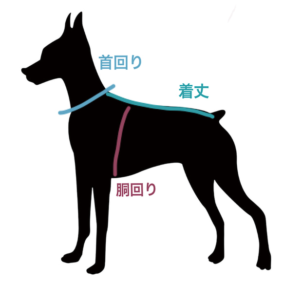 【再販2回目】ミニピン トイマン＊スモーキーリブニット 3枚目の画像