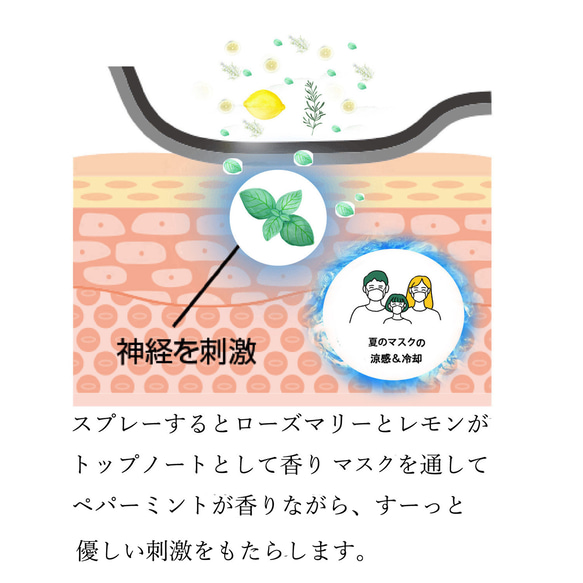 スースー脳活　和ミント（なごみんと）10ml　調香　ペパーミント　レモン　ローズマリー　不眠　受験対策　 2枚目の画像