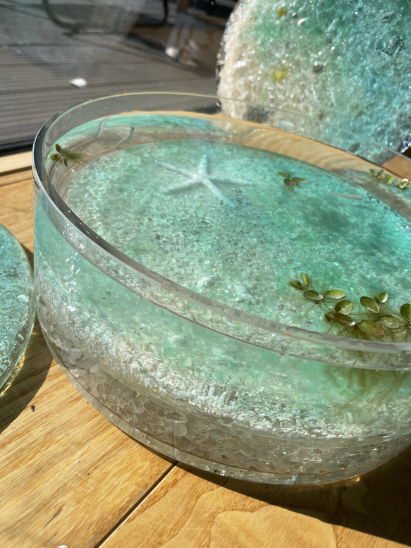 新作　アクアリウム　水槽&水底レジンアートパネルセット　スターフィッシュと白砂　金魚鉢　水鉢 5枚目の画像