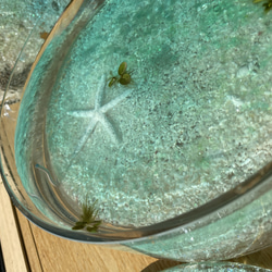 新作　アクアリウム　水槽&水底レジンアートパネルセット　スターフィッシュと白砂　金魚鉢　水鉢 6枚目の画像