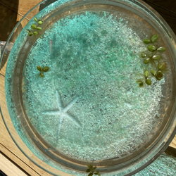 新作　アクアリウム　水槽&水底レジンアートパネルセット　スターフィッシュと白砂　金魚鉢　水鉢 2枚目の画像