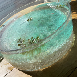 新作　アクアリウム　水槽&水底レジンアートパネルセット　スターフィッシュと白砂　金魚鉢　水鉢 1枚目の画像