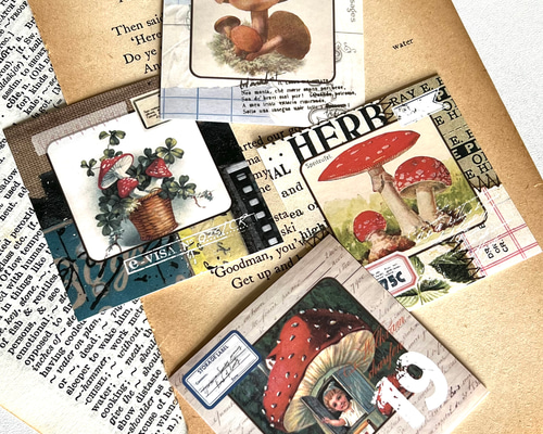 6c37af8e55c70d4c14386bea0ed47f