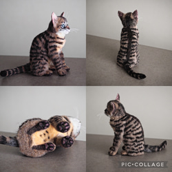 羊毛フェルト　ハンドメイド　キジトラ　子猫　猫　ねこ 10枚目の画像