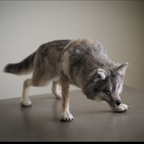 羊毛フェルト ハンドメイド 灰色オオカミ 狼 ウルフドッグ 羊毛
