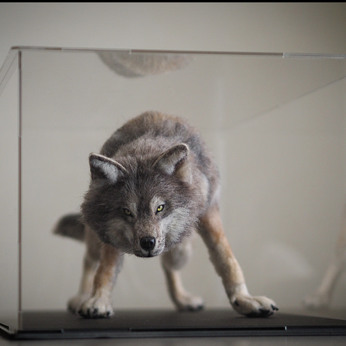 羊毛フェルト ハンドメイド 灰色オオカミ 狼 ウルフドッグ 羊毛