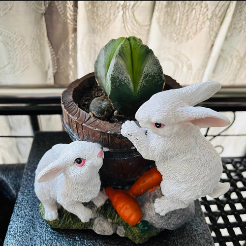 多肉用植え鉢 プランター ウサギちゃん かわいい その他 多肉用植え鉢 プランター ウサギちゃん かわいい その他