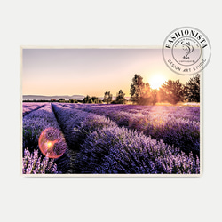 美瑛の冬ーマイルドセブンの木」A4版アート写真 写真・グラフィック