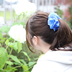 7af15fc66c4da3512a948b5634ab97