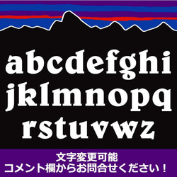 P【ベビーオンボード/baby on board】マグネットステッカー 4枚目の画像