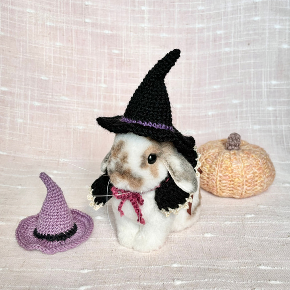 本命ギフト ハロウィン 魔女帽子 うさぎ・ペット・ぬいぐるみ ペット服 ぬいぐるみ