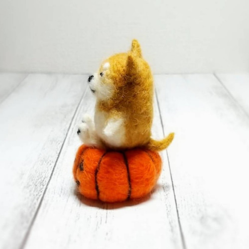 ハロウィンかぼちゃに座ったゆる柴犬 羊毛フェルト 犬 羊毛フェルト