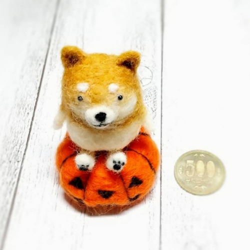ハロウィンかぼちゃに座ったゆる柴犬 羊毛フェルト 犬 羊毛フェルト