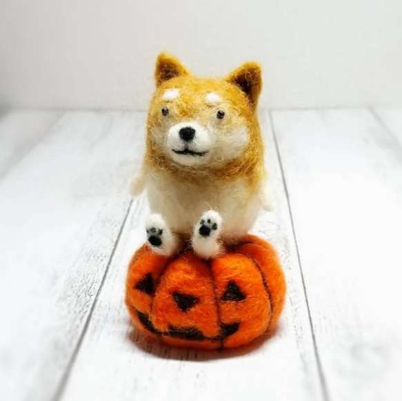 ハロウィンかぼちゃに座ったゆる柴犬 羊毛フェルト 犬 1枚目の画像