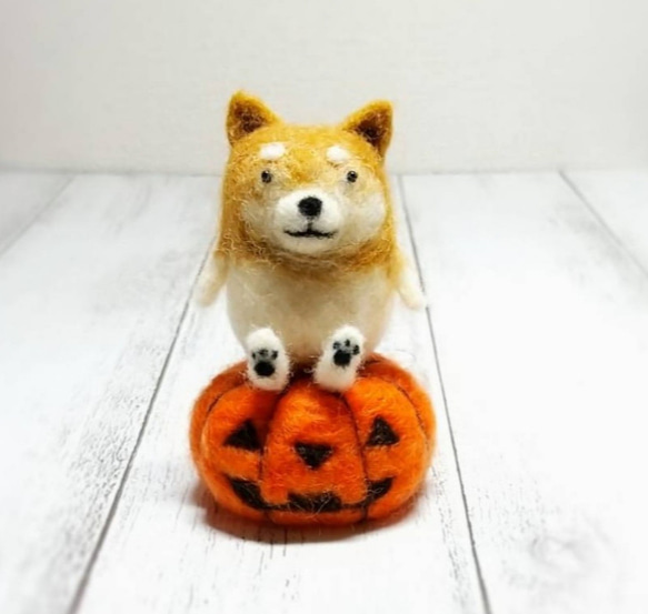 ハロウィンかぼちゃに座ったゆる柴犬 羊毛フェルト 犬 2枚目の画像