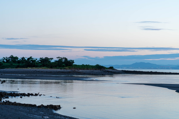 恋空は佐賀【初恋ほのか】甘酢漬け生姜　80ｇlite　パウチパック 長崎県島原産　無添加・無着色　手作り 8枚目の画像