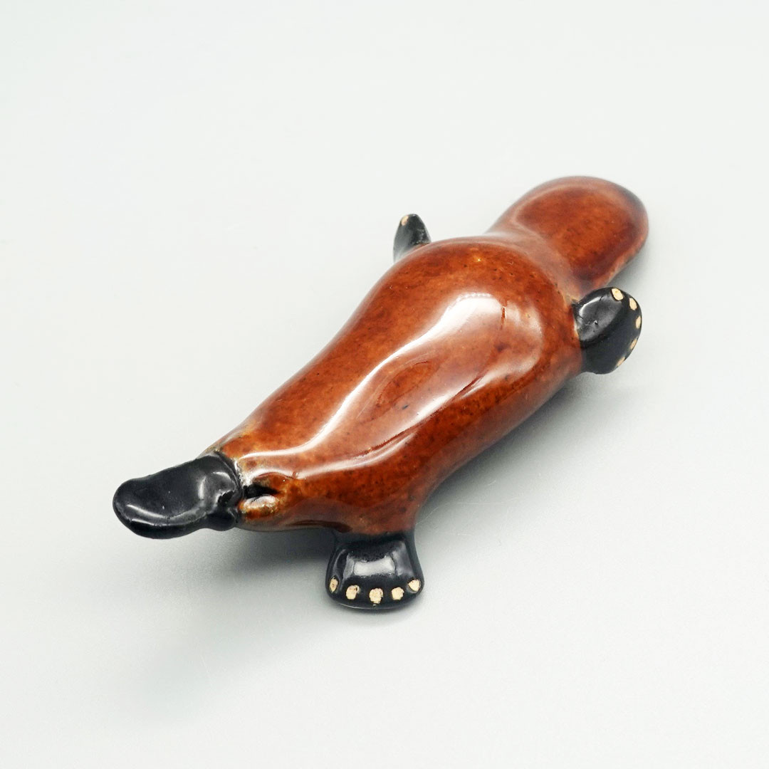 カモノハシです カモノハシです