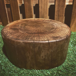 5002967331643a9ec582204c2e498d