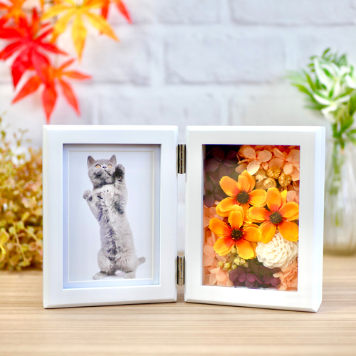 秋晴れコスモスのフォトフレーム 縦長 フォトフレーム・写真立て