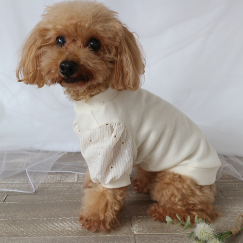 パフスリーブトップス小花刺繍（犬服） ペット服・アクセサリー