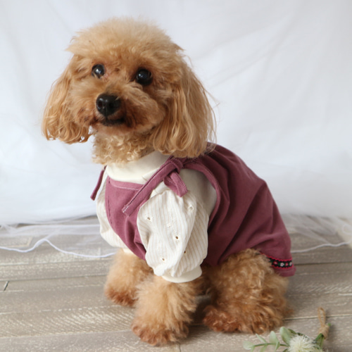 パフスリーブトップス小花刺繍（犬服） ペット服・アクセサリー