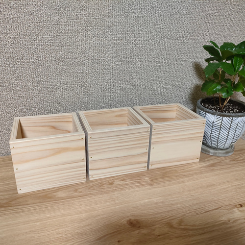 葉と猫のデザイン 八角形皿 専用木箱付き 楽天市場】【ねこのミニ植木鉢】ねこ 植木鉢 ポット フラワー