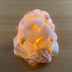 ♡昭和レトロ　フルーツモチーフ 　シェル【貝】シェードランプ♡ e307df7f18bc6eadfc747111e208ae