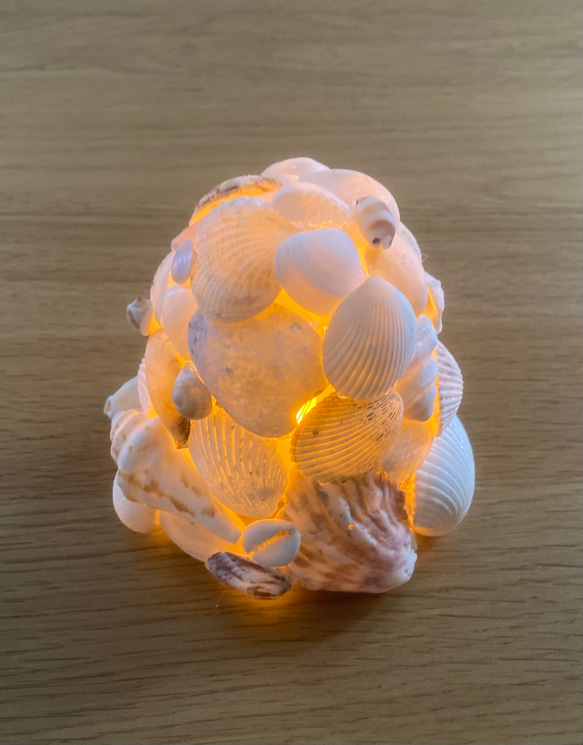 貝殻】シェルランプシェイド その他置物 BABAFARM 通販 14660103