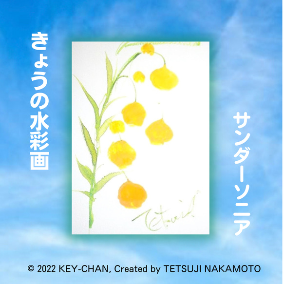 きょうの水彩画「サンダーソニア」BF0919(色紙) 絵画 キーちゃん 通販