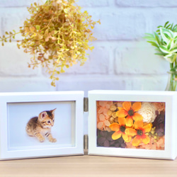 秋晴れコスモスのフォトフレーム 横長 フォトフレーム・写真立て