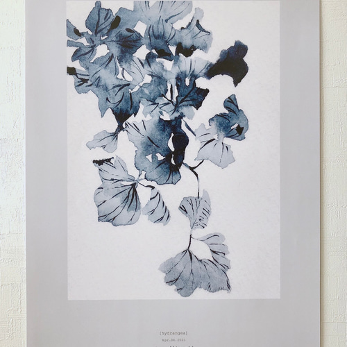 バラ（薔薇）・ローズの透明水彩画 白薔薇 花の絵 F6 原画