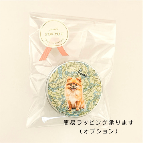 オリジナル カードケース こども イラスト 絵 オーダーメイド パス