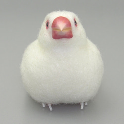 [Ｔ様専用] 白文鳥 / 羊毛フェルト リアルサイズ 3枚目の画像