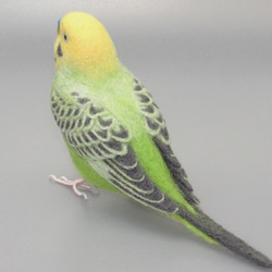 [松島様専用] セキセイインコ グリーンオパーリン / 羊毛フェルト リアルサイズ 3枚目の画像