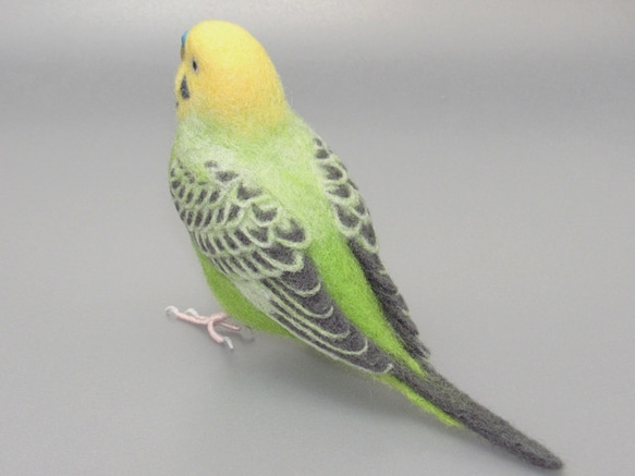 [松島様専用] セキセイインコ グリーンオパーリン / 羊毛フェルト リアルサイズ 3枚目の画像