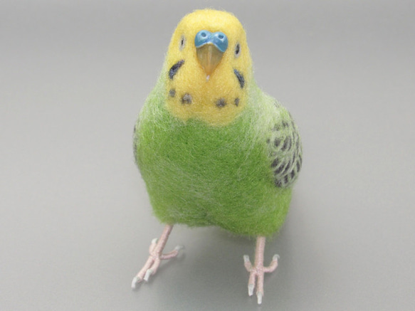 [松島様専用] セキセイインコ グリーンオパーリン / 羊毛フェルト リアルサイズ 4枚目の画像