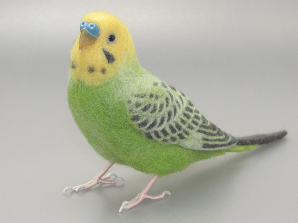 [松島様専用] セキセイインコ グリーンオパーリン / 羊毛フェルト リアルサイズ 2枚目の画像