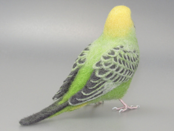 [松島様専用] セキセイインコ グリーンオパーリン / 羊毛フェルト リアルサイズ 6枚目の画像