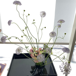 花器 水盤 アクリル 丸 ホワイト ブラック 池坊 花楽 ５点セット 花器 水盤 アクリル 丸 ホワイト ブラック 池坊 花楽 5点セット
