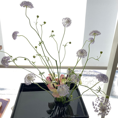 展示会使用済み ブラックアクリル板の水盤 スクエア ブラック 一輪挿し