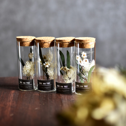 手のひらのしあわせ 並べて可愛いコルク瓶のボタニカルフラワー