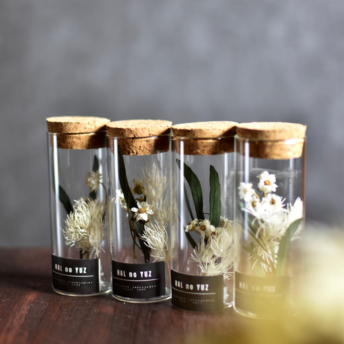 手のひらのしあわせ 並べて可愛いコルク瓶のボタニカルフラワー