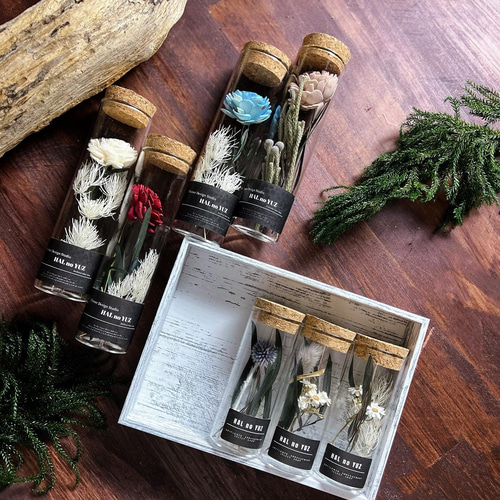 手のひらのしあわせ 並べて可愛いコルク瓶のボタニカルフラワー