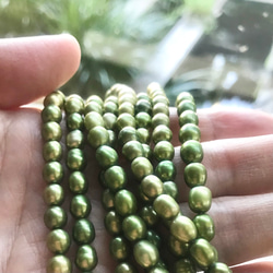 人気トップ5♡# 346 アンティークレトロなムラのある染め緑 8個