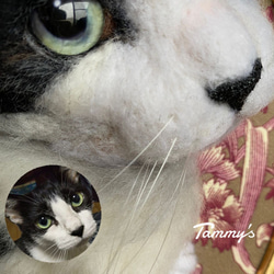 【オーダーメイド例_フーちゃん】羊毛フェルト、猫ぬいぐるみ、フェルト猫、ペットメモリアル、オーダーメイド 4枚目の画像
