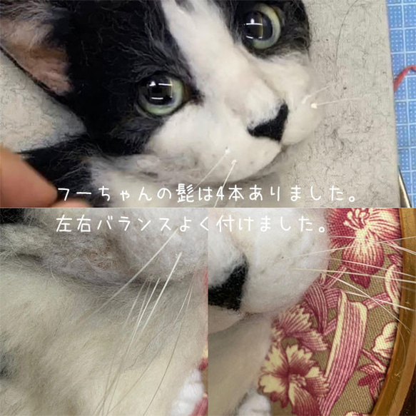 【オーダーメイド例_フーちゃん】羊毛フェルト、猫ぬいぐるみ、フェルト猫、ペットメモリアル、オーダーメイド 6枚目の画像